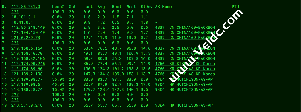 BestVM：香港HGC静态VPS，1Gbps@4TB流量，月付80元起，附测评分享