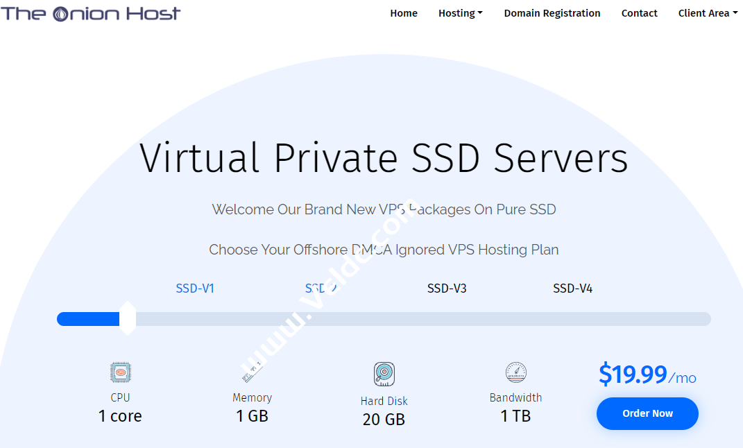 TheOnionHost：保加利亚VPS，无视DMCA，1核1GB内存20GB SSD，1Gbps@1TB流量，免费10G的DDoS防护，月付$19.99起